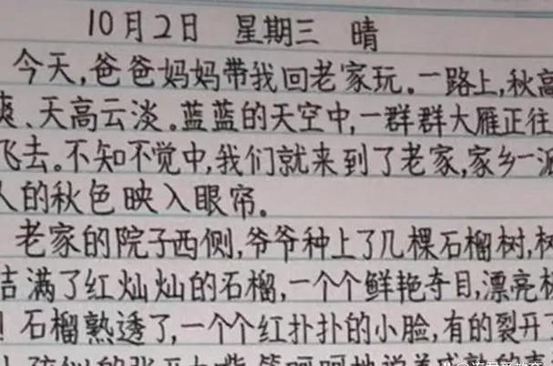 写字写不好是什么原因图标