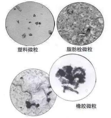 微粒