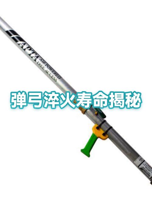 弹弓人一般寿命多少年