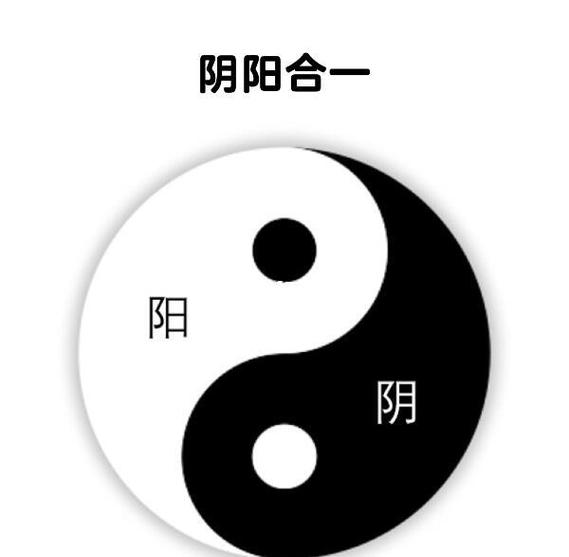 红黑太极图代表什么
