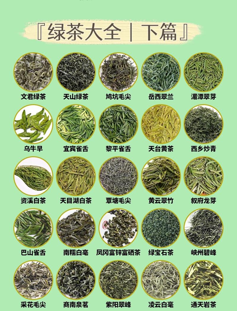 绿茶vPh官方下载图标