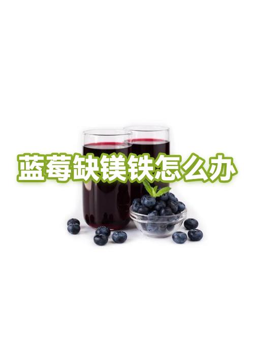 蓝莓过敏怎么办图标