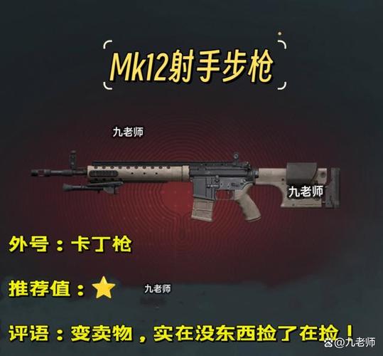 mk12射手步枪