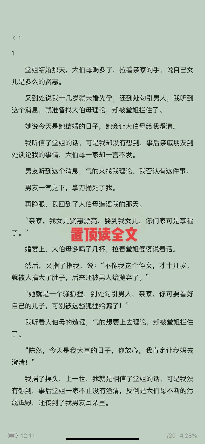寡嫂傻大壮装傻全集免费阅读小说
