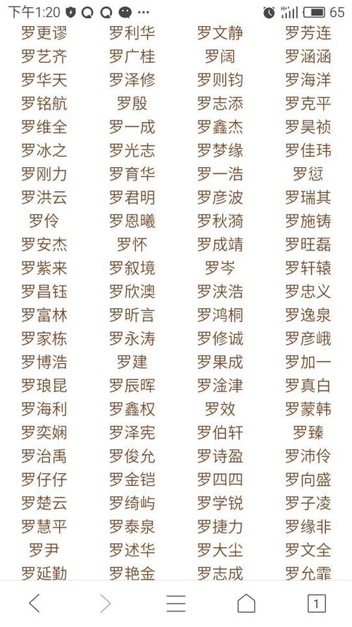 最新男孩名字大全