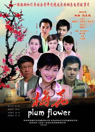 梅花影视在线观看免费