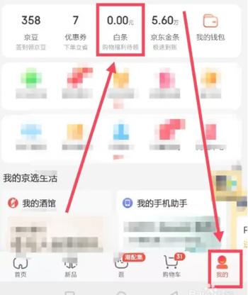 怎么查白条消费记录图标