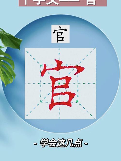 anyview阅读官网