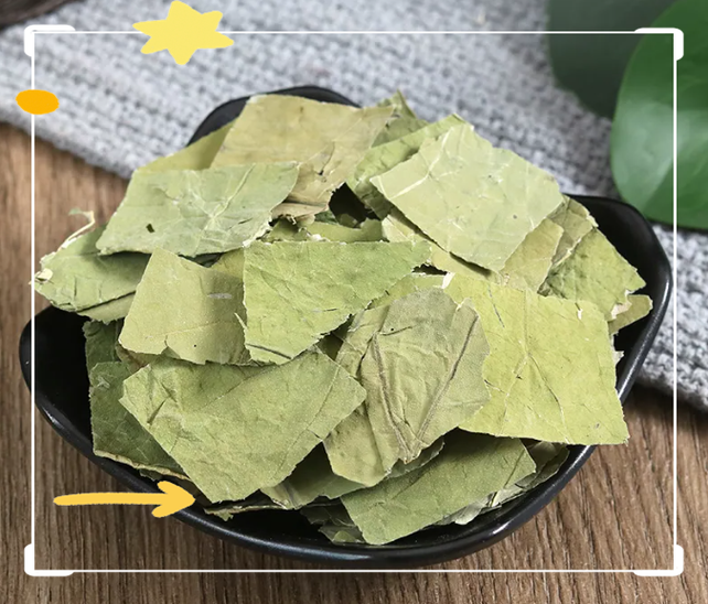 荷叶的用途图标