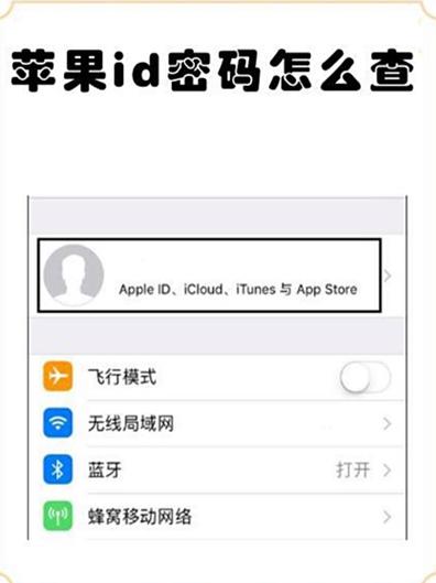 查看苹果id打不开