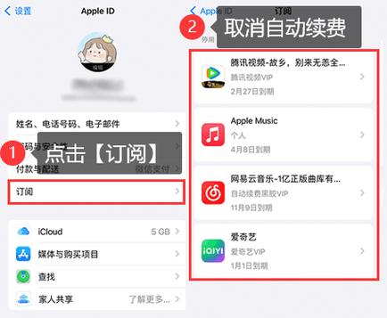 如何在苹果里面取消订阅图标