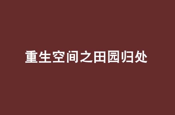 重生空间之田园归处