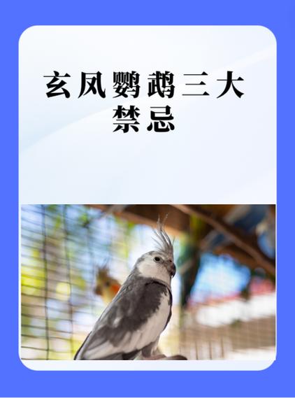 养鸟人一般寿命多长