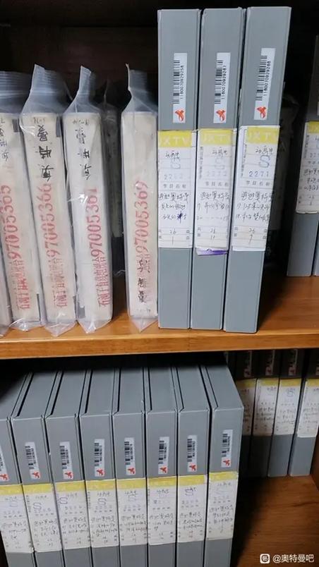 雷欧上译版为什么没了图标