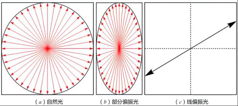 光的三个基本特性图标