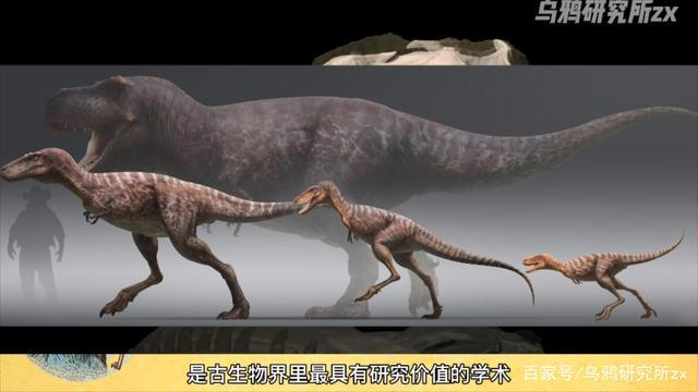 侏儒暴龙