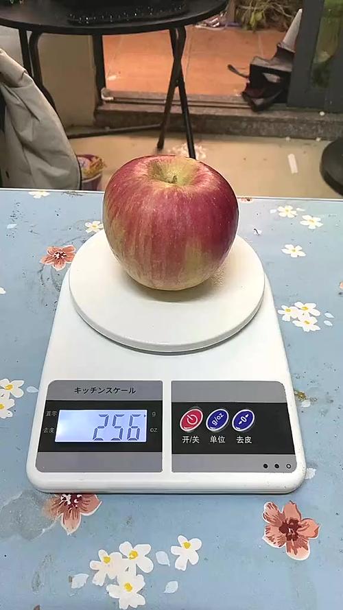 100g大概有多重