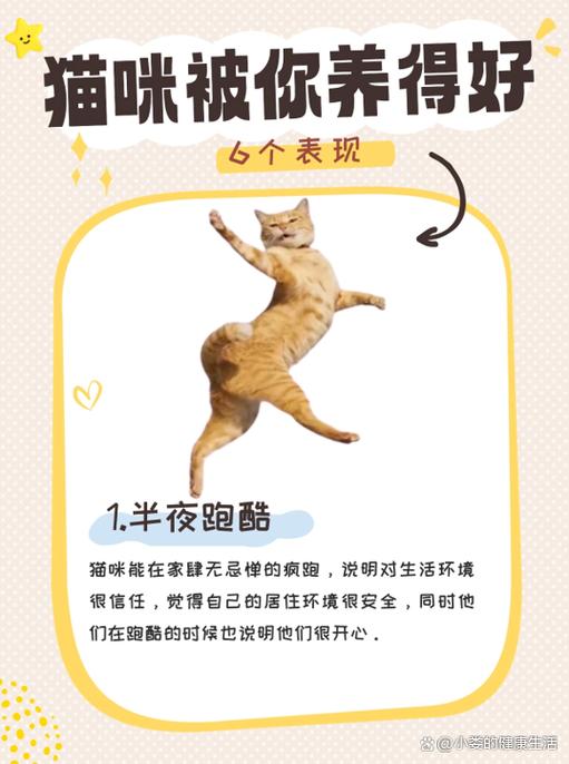 健康猫为什么没有最新消息图标