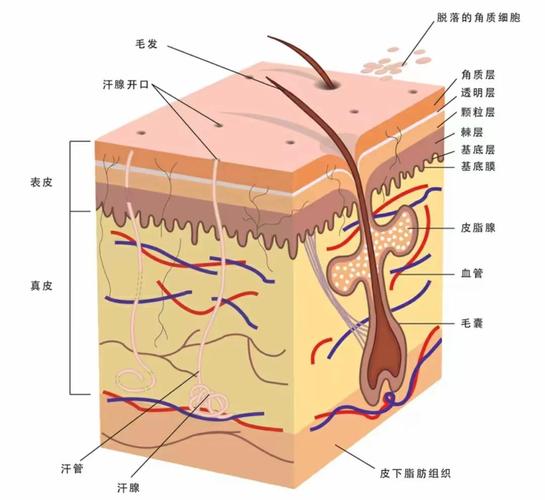 使命召唤16皮肤挑战图标