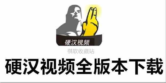 硬汉视频练就一番神之手下载旧版