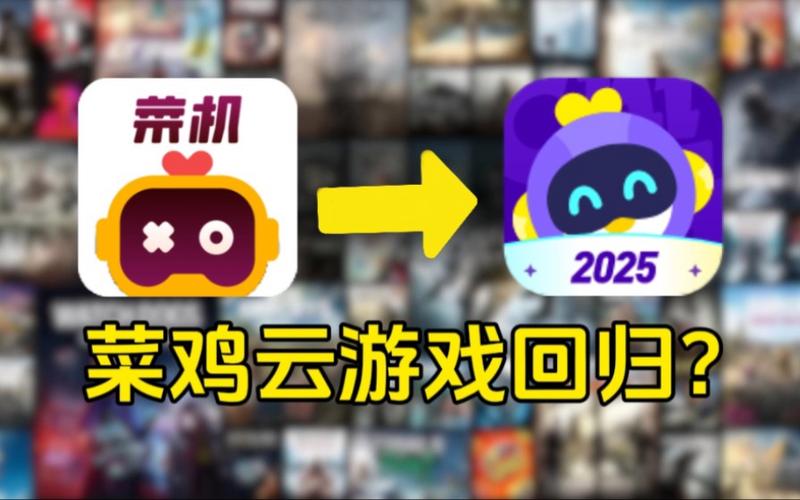 菜鸡游戏有风险吗图标