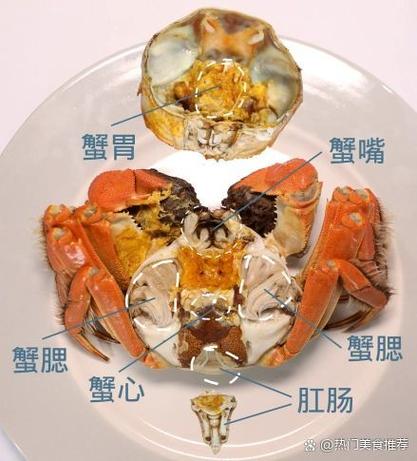 蟹不能和什么一起吃图标