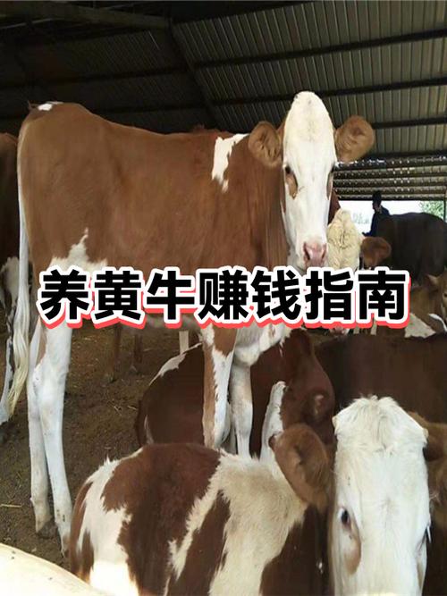 养动物赚钱