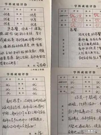 综合素质评价学业水平怎么写