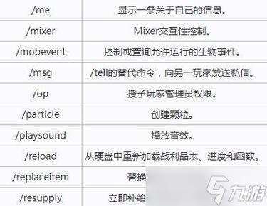 我的世界基岩版永久夜视指令