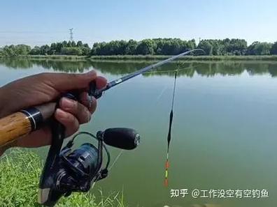 翘嘴用m还是ml