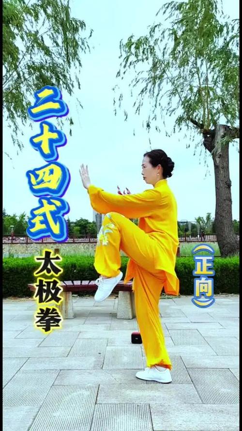 太极拳24式视频完整版牧极图标