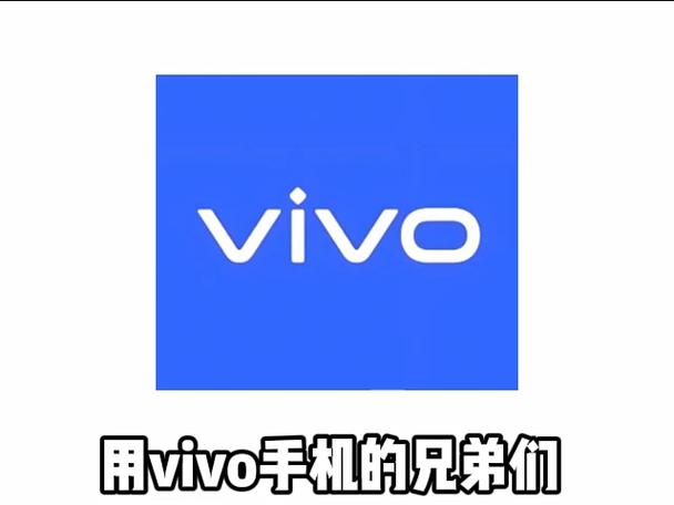 vivo最上面的标识