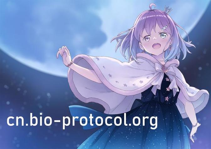 魅影在线观看免费播放电视剧