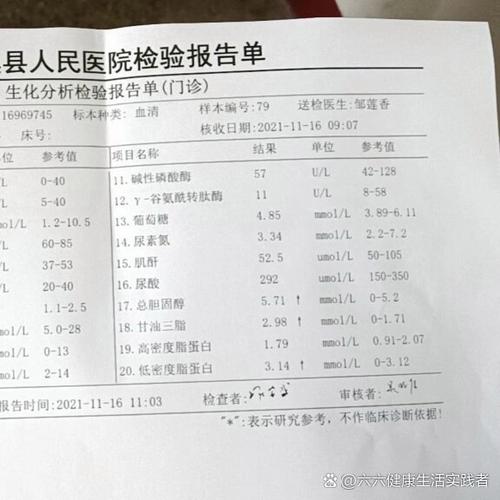 医院化验单图片