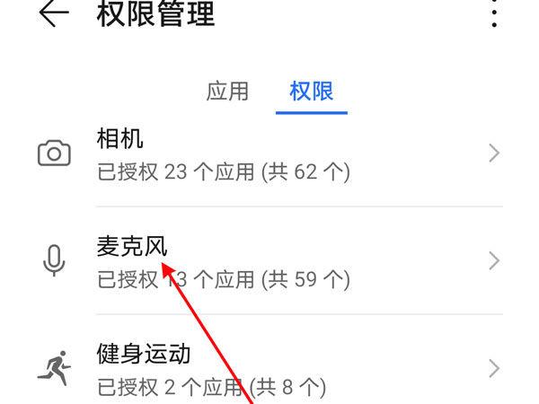 怎么设置麦克风权限