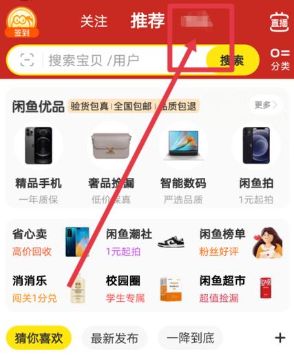 闲鱼怎么查看账号