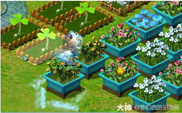 梦幻50级庭院种植给多少钱图标
