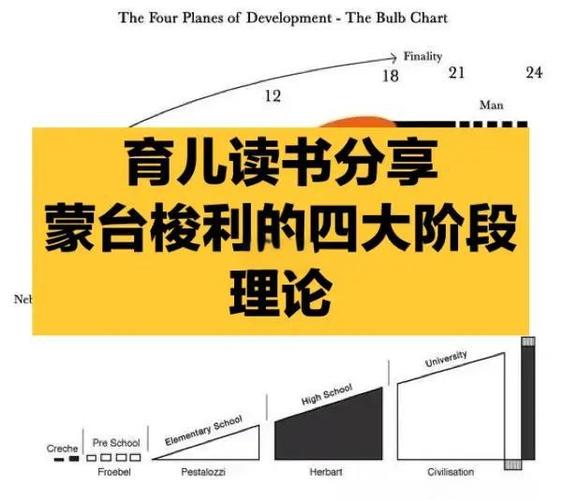 蒙台梭利的关键期理论