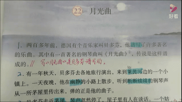 月光曲表达了作者怎样的感情