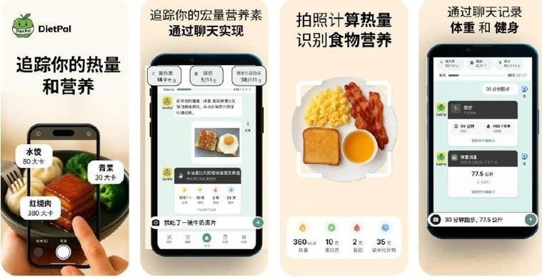 记录每日饮食热量软件