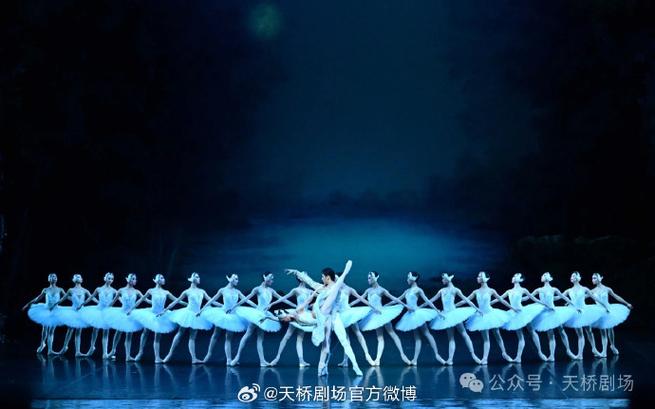天鹅影视免费追剧app