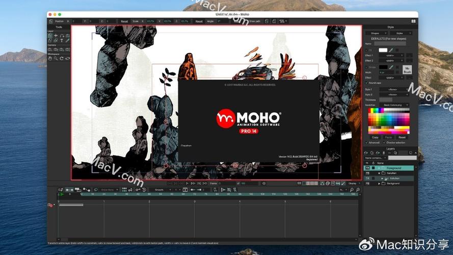 animation制作软件