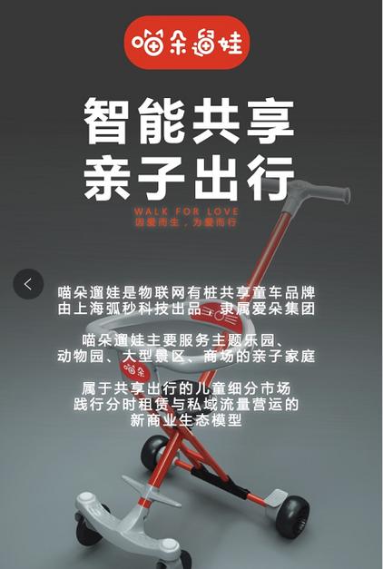 养猫需要带它出去玩吗