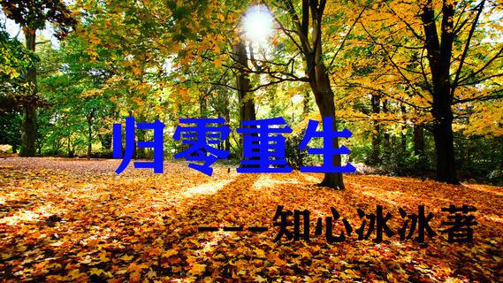 重生之归零最新章节列表