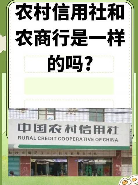 农村信用社移动云证书怎么申请