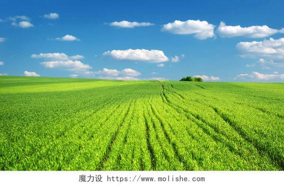 希望的田野扇子舞背景故事和背景音