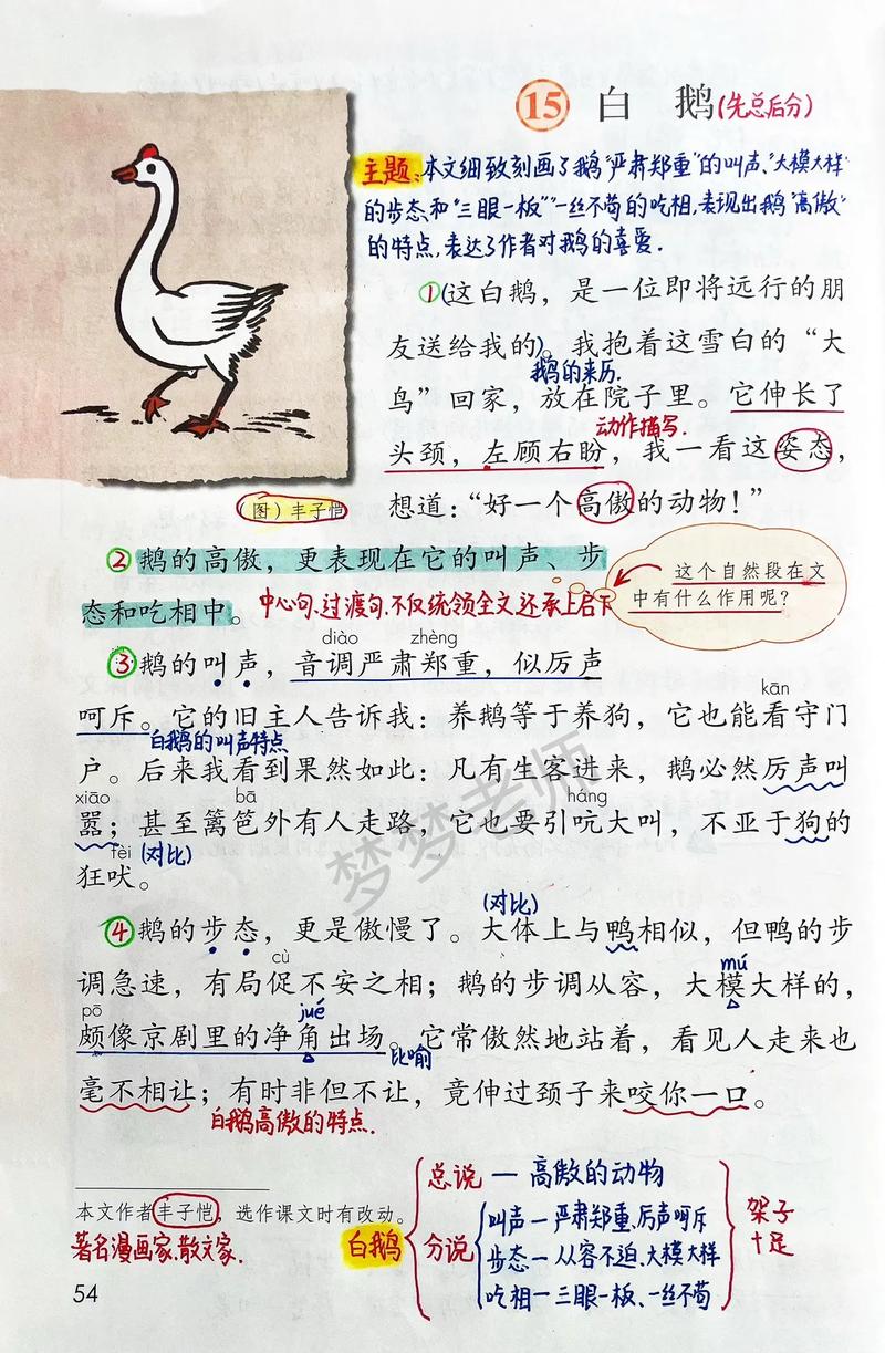 青草国的鹅的阅读原文图标