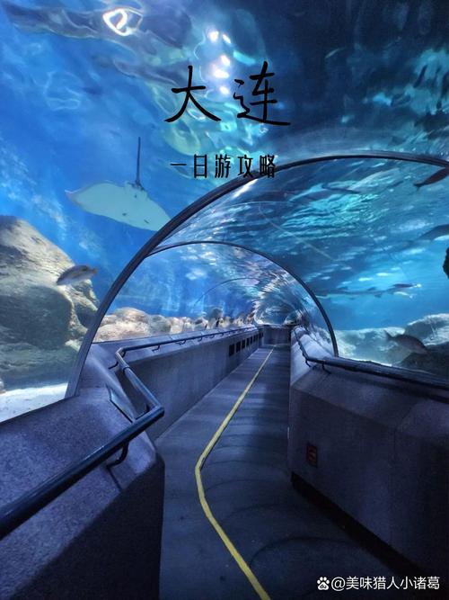 大连圣亚地底通道图标