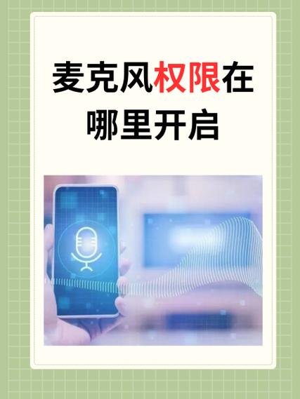 麦克风权限在设置的哪里