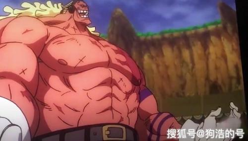 巴雷特有四皇实力吗图标